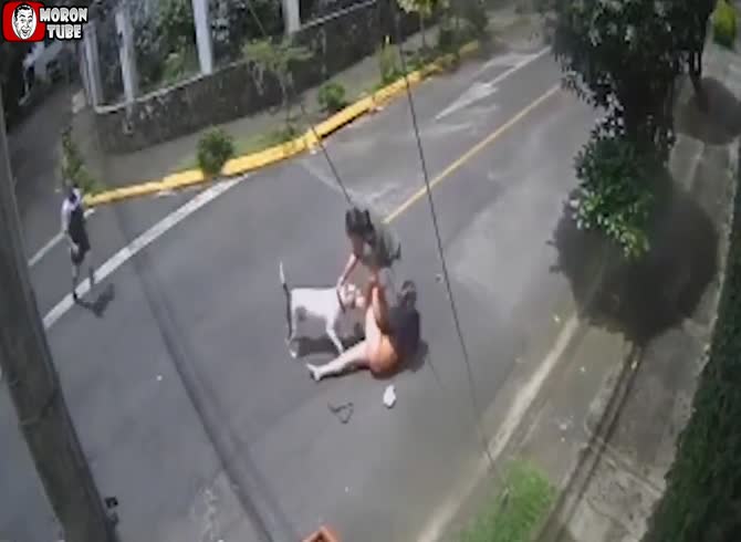 Video :A guy defends a woman against a pit bull assault